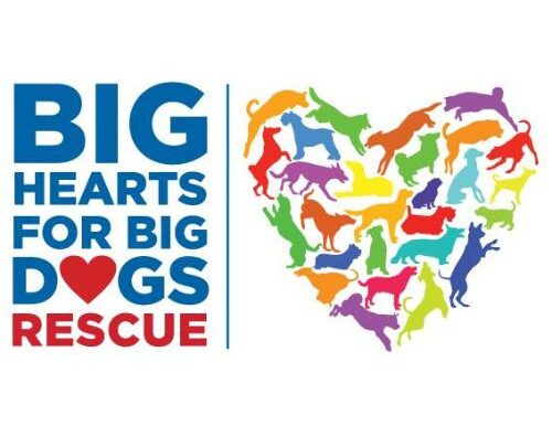 Big Hearts for Big Dogs Rescue Logo