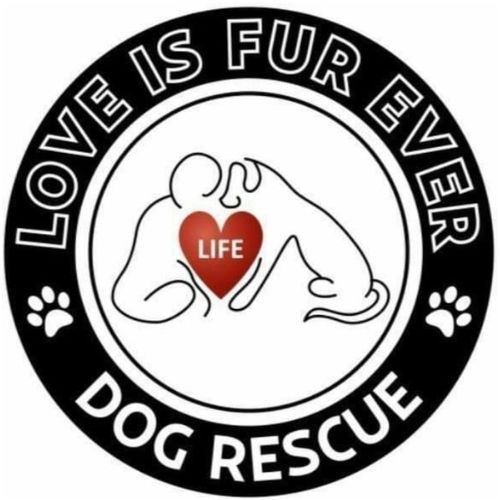 Love Is Fur Ever Dog Rescue Logo