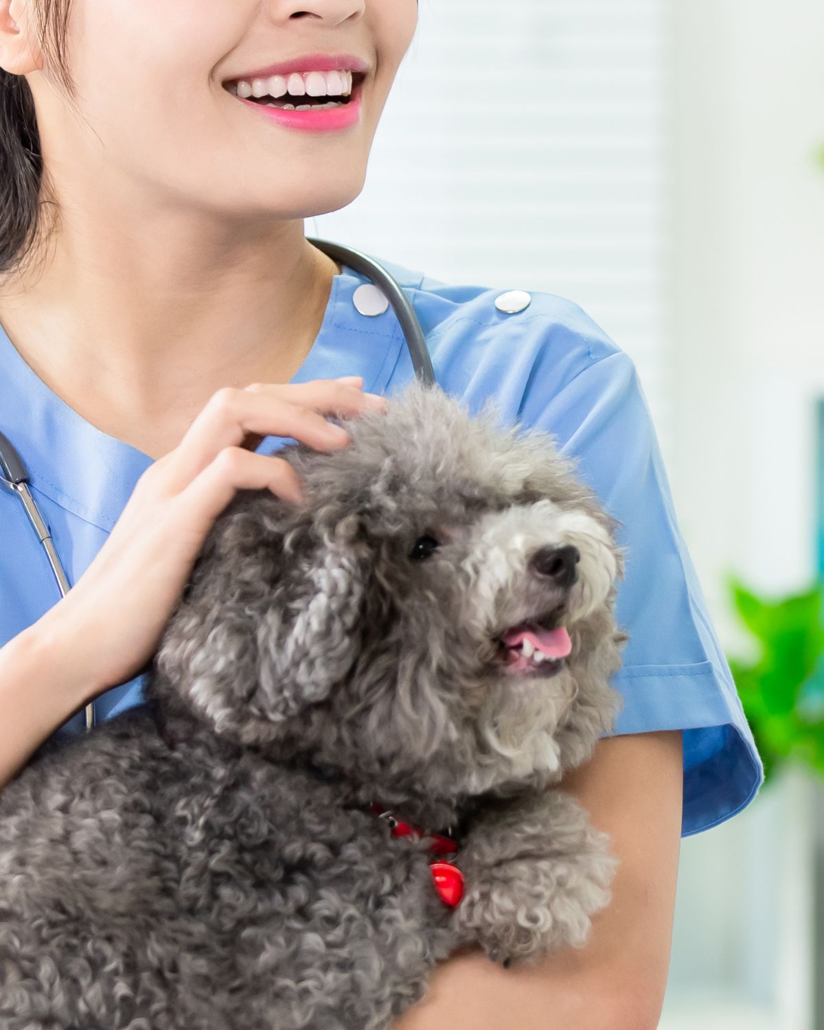 A lady vet affectionately holding a dog