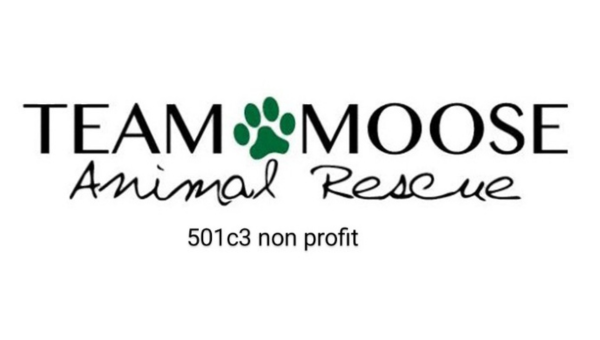 Team Moose logo